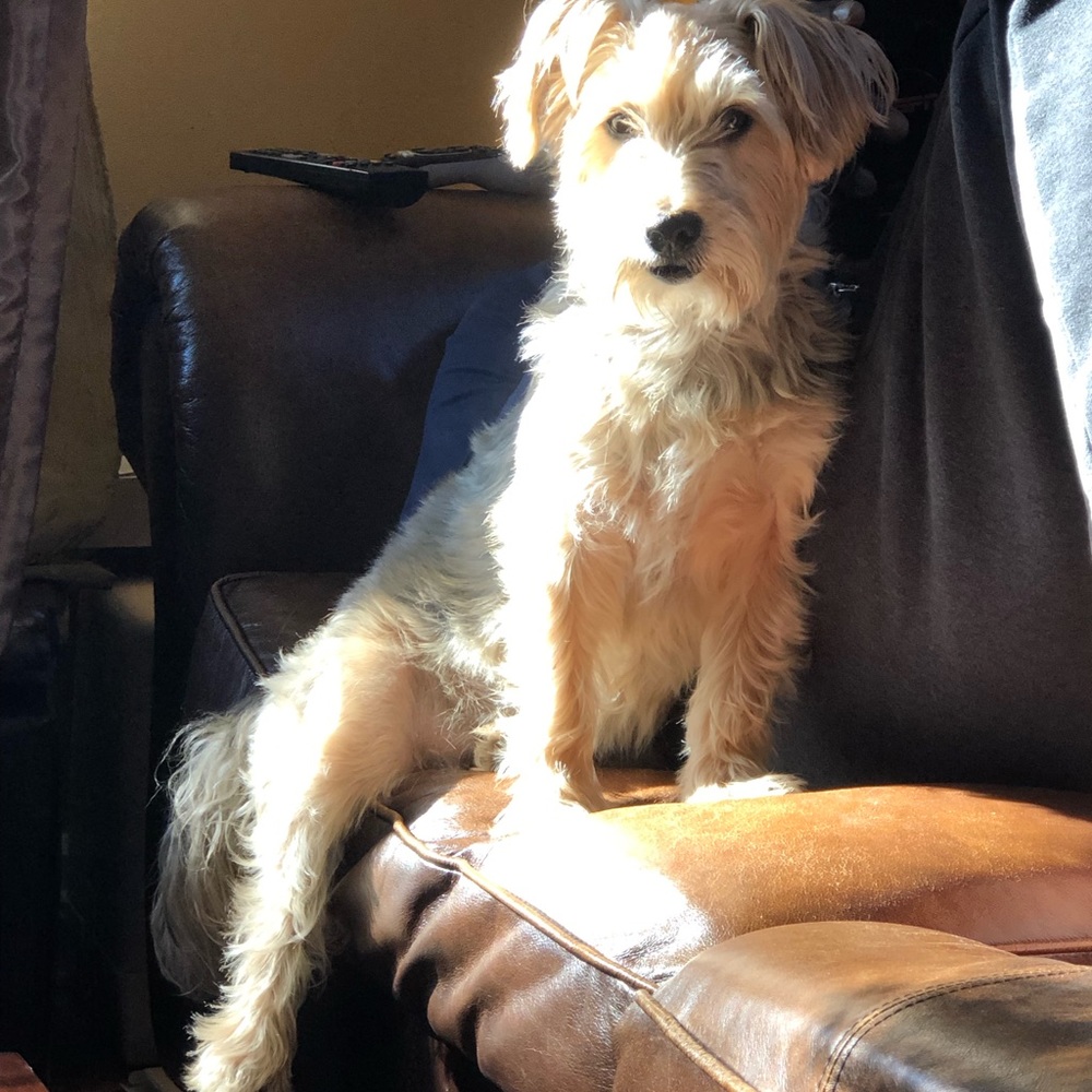 Meet your Posher, Carmen